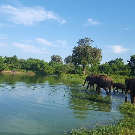 Kuma Safari Lodge Udawalawe Exteriér fotografie