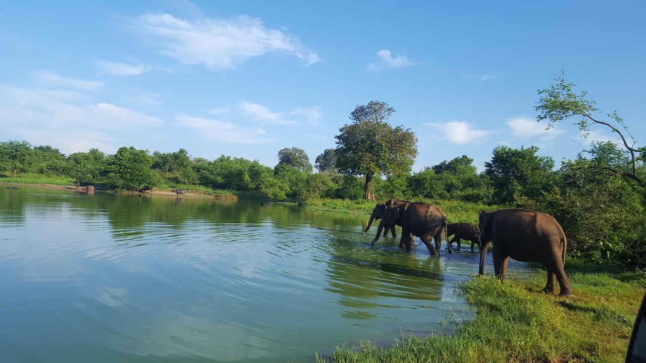 Kuma Safari Lodge Udawalawe Exteriér fotografie
